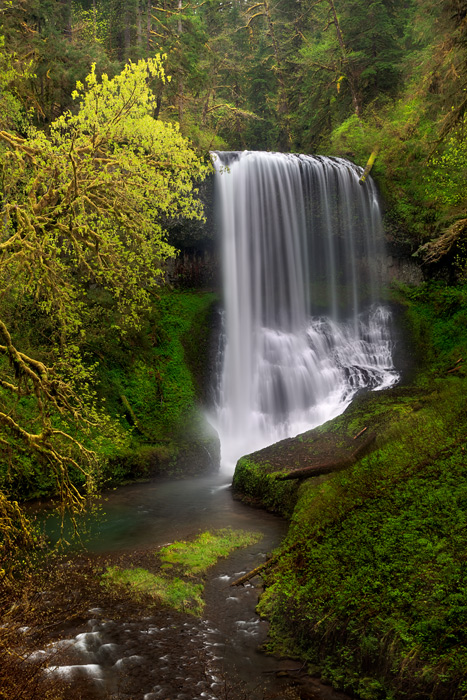 The dramatic&nbsp;Middle North Falls pictured here during a morning shower at the peak of Spring near Silverton, OR.