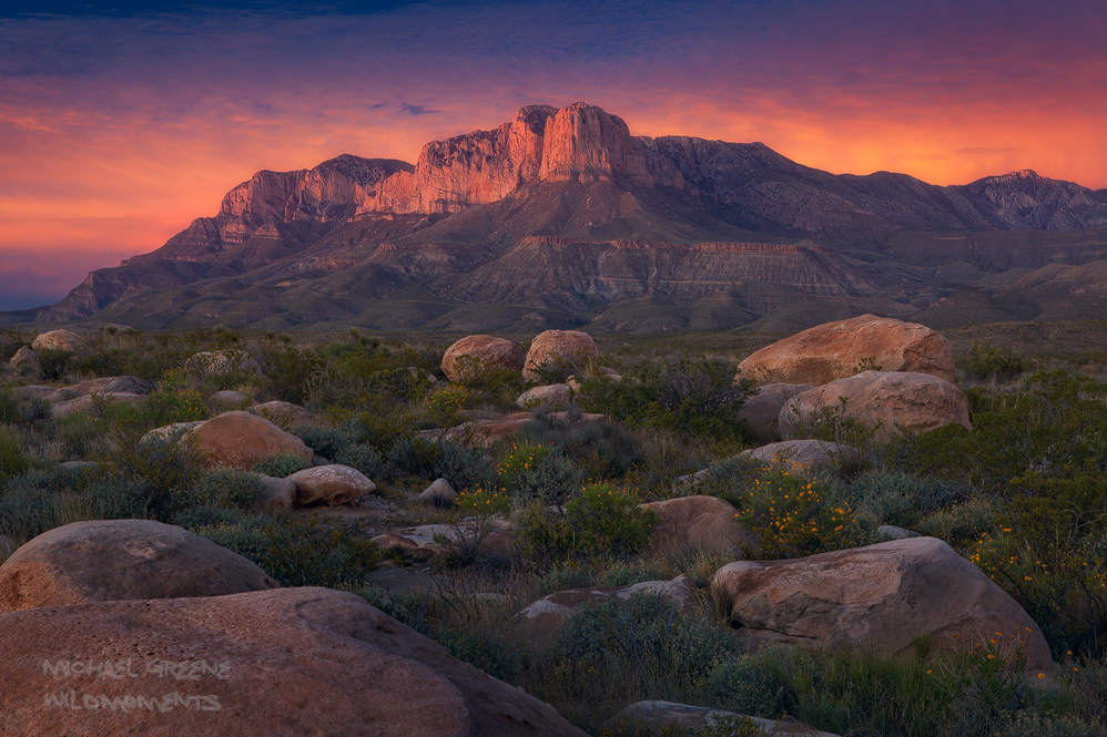 Flowering brittlebush and boulders frame the foreground during a colorful autumn sunset near Guadalupe Mountains National Park...