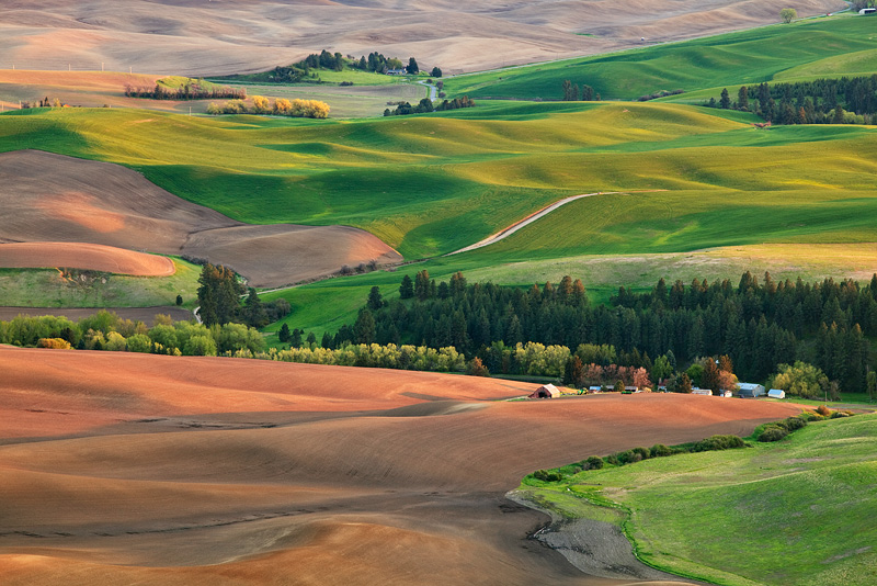 Texture and colors dapple the hillside during a brilliant sunset in the heart of the Palouse just outside of Pullman during the...
