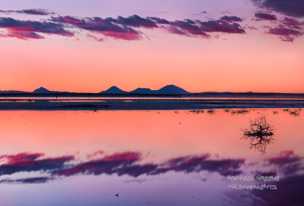 A dried lake bed became a sea of reflections during a surreal sunset just outside of Guadalupe Mountains National Park (West...