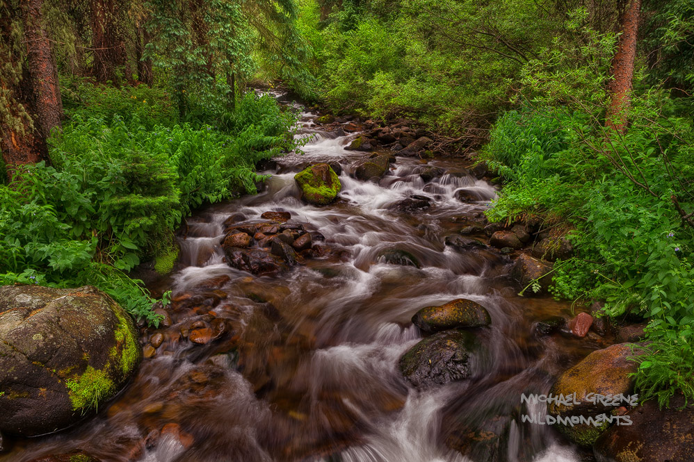 An incredible creek cuts through lush foliage deep in the heart of the South San Juan Wilderness. Learn more about this amazing...