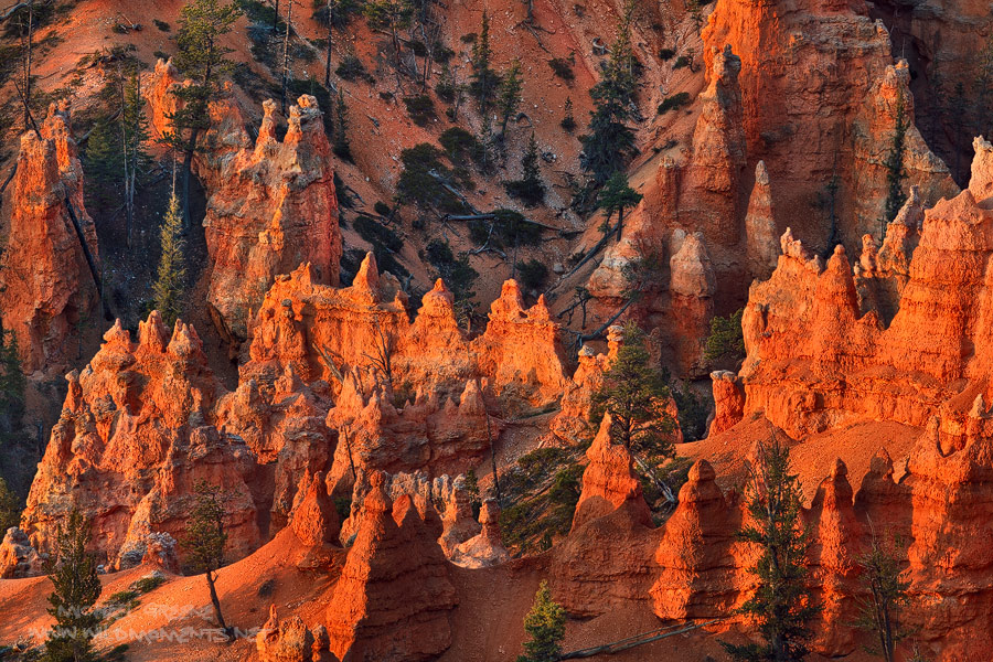 The first rays of light ignite the hoodoos of Bryce Canyon National Park in Garfield County, UT.