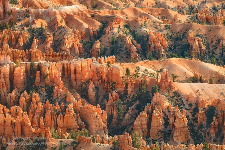 Morning light illuminates the rolling countryside of hoodoos and trees in Bryce Canyon National Park, UT.