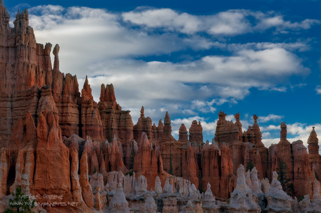 A dignified array of hoodoos captured in late afternoon light on a hike in Bryce Canyon amidst dramatic blue skies in Garfield...