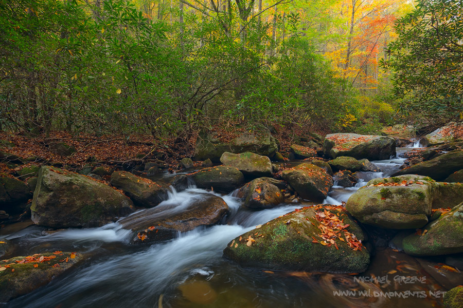 The Middle Saluda River is the states oldest designated national scenic river. This image was captured during peak autumn colors...