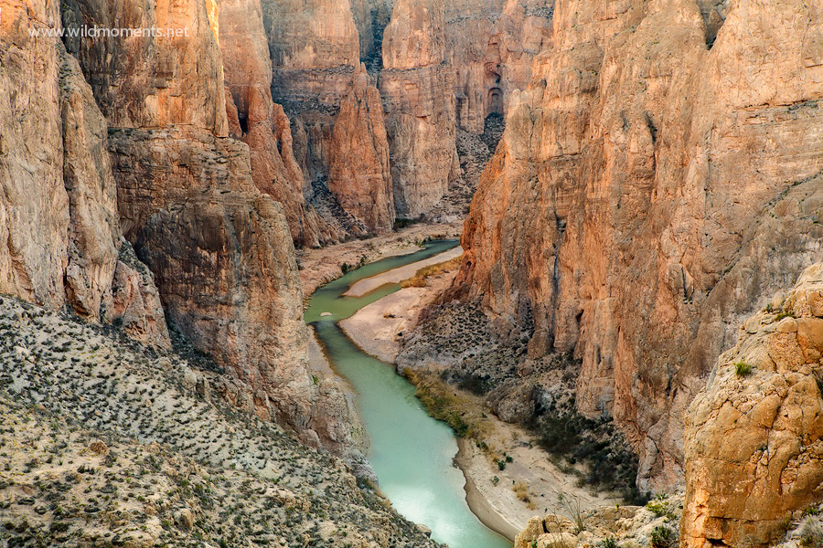After a night of surviving without food, water, proper clothing or shelter I stumbled upon this scene off trail in Big Bend National...