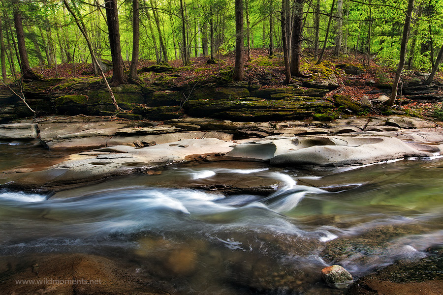 The slick rock gorge of Rock Run located in the McIntyre Wild Area is known for its clear flowing waters and decorated stream...