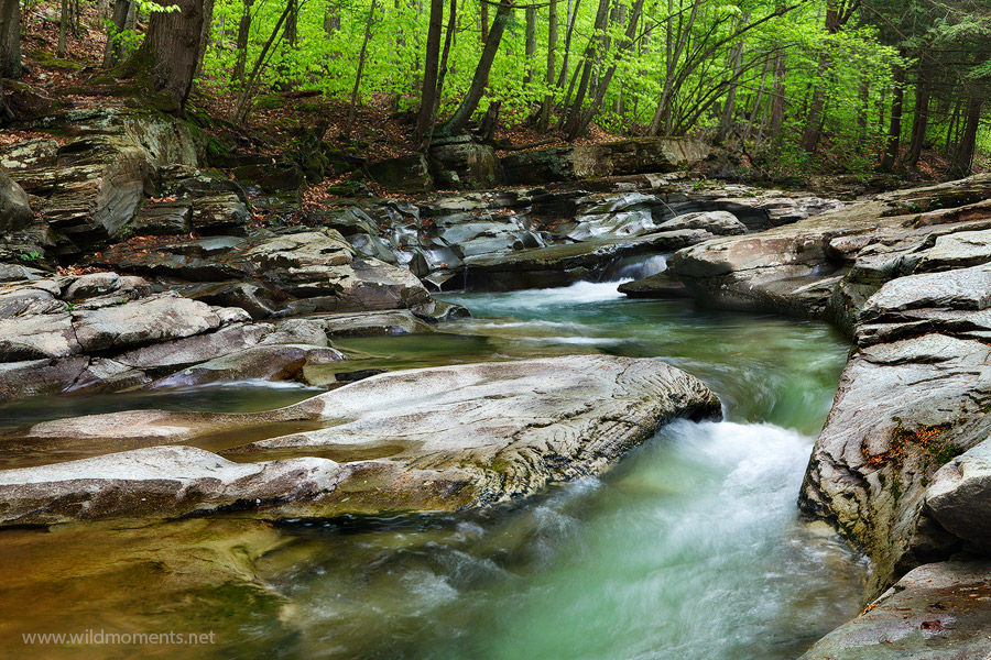 The water carved a near S pattern in the slick rock in this particular section of Rock Run, Pennsylvania's most beautiful stream...