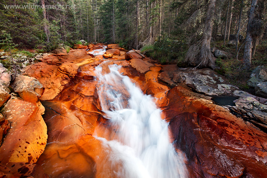 The one and only unmistakably original Rock Creek. The rocks are neon orange due to the iron content in the water.