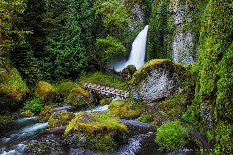 Wahclella Falls is one of the most photographed waterfalls in the Columbia River Gorge and for good reason. This image was captured...