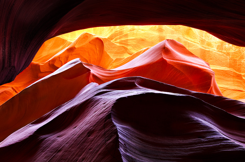 A full spectrum of colors engulfs Lower Antelope canyon on a sunny day after heavy overnight rains. This slot canyon is the most...