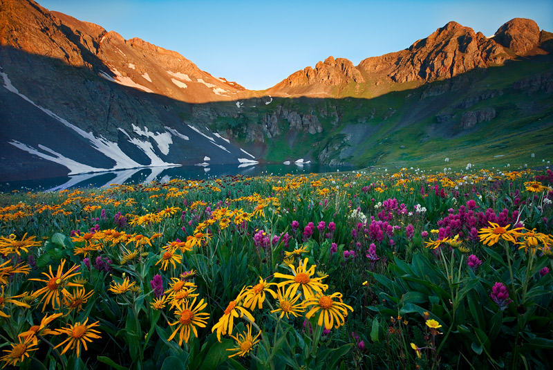 This picture is a scene taken at sunrise above Upper Clear Lake in early August during a banner wildflower year in Colorado.