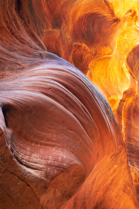 Spectacular light dances about the sculpted features of rock in Buckskin Gulch on the Utah - Arizona border. The shape of the...