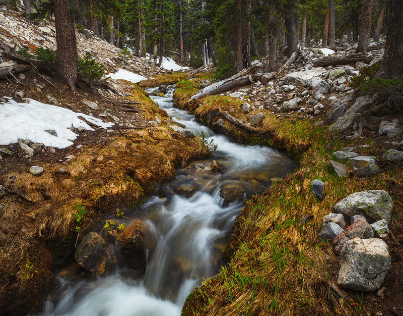 The headwaters of Baker&nbsp;Creek gain momentum as spring greens arrive late in the season as the high country begins to thaw...