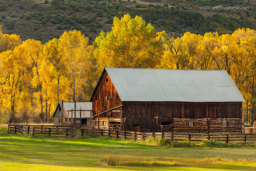 A rustic barn nestled peacefully amidst beautiful fall foliage is decorated by late afternoon storm light.