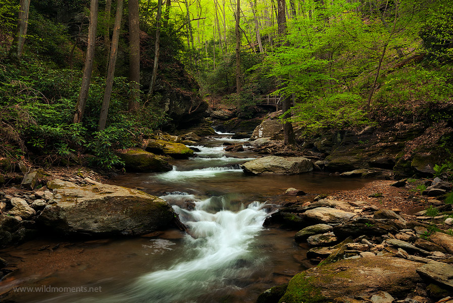 This image shows the most scenic section of Pequea Creek nestled in a rugged, remote and deep gorge just outside of Lancaster...
