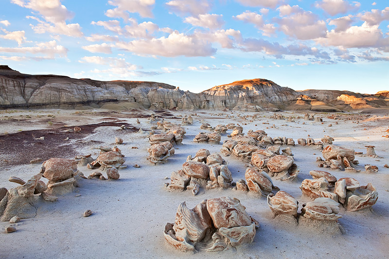 The Bisti Badlands of New Mexico is place of unique and austere beauty. Pictured here just after sunrise, these otherworldly...