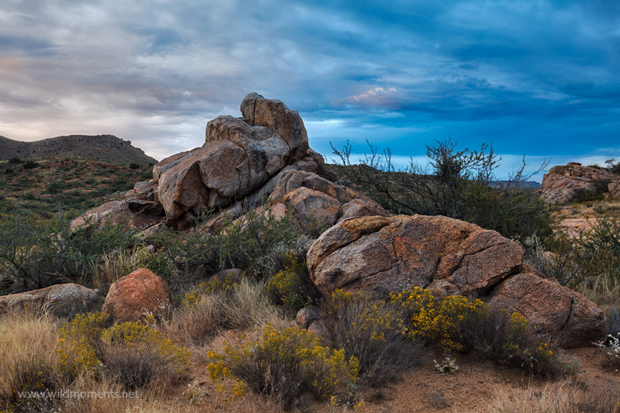 Cryptic storm clouds provided a dynamic background to photograph the stately rock formations and colorful desert scenery at Agua...