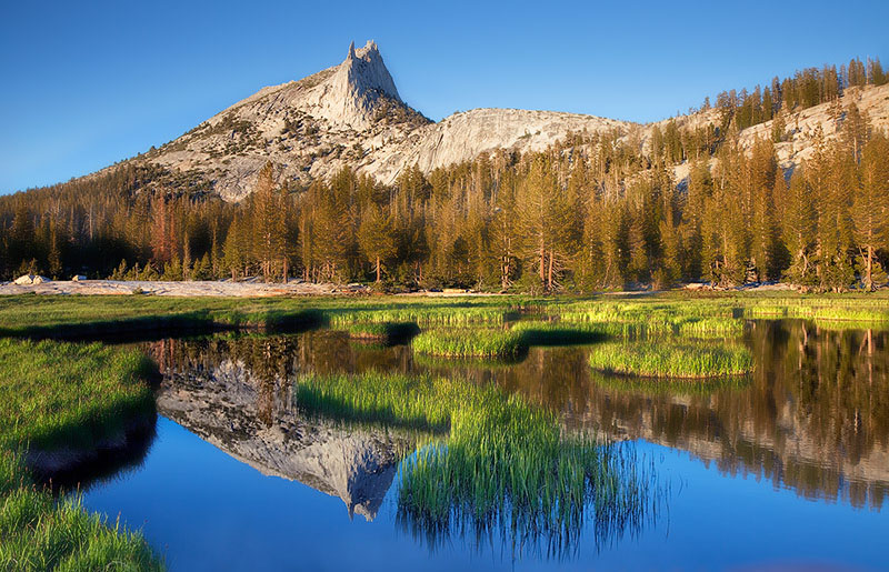 The vibrant greens in a marshy tarn glow with the setting sun while a pristine reflection of Cathedral Peak beckons the intrepid...