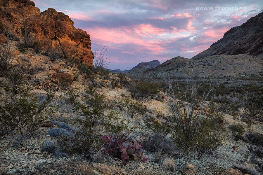 A picuresque sunset&nbsp;near the Chimney's rock formation&nbsp;(left&nbsp;side)&nbsp;in the heart of&nbsp;Chihuahuan Desert...