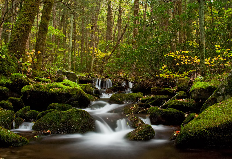 An ancient growth forest&nbsp;overlooks cascading waters as fall colors subtly accent another lush&nbsp;signature Smoky mountain...