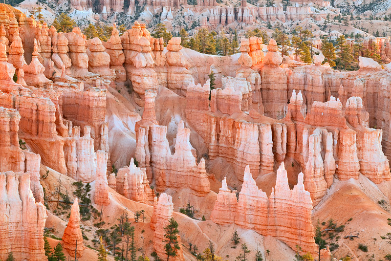 The rising sun heats up a chilly fall morning at Bryce Canyon National Park. The first rays of light illuminate the glowing hoodoos...