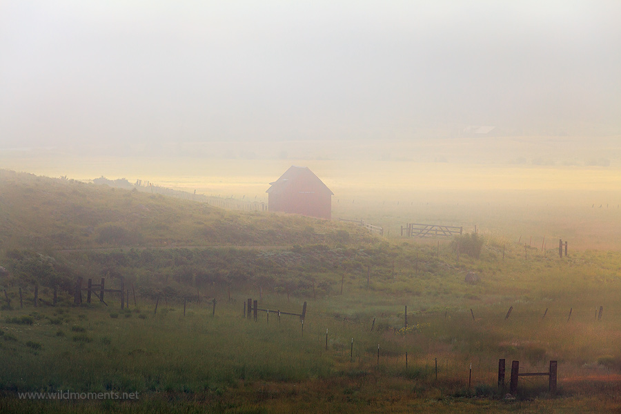 This barn and field image was captured during a quiet, foggy, summer Sunday morning outside of the rustic mountain town of Crede...