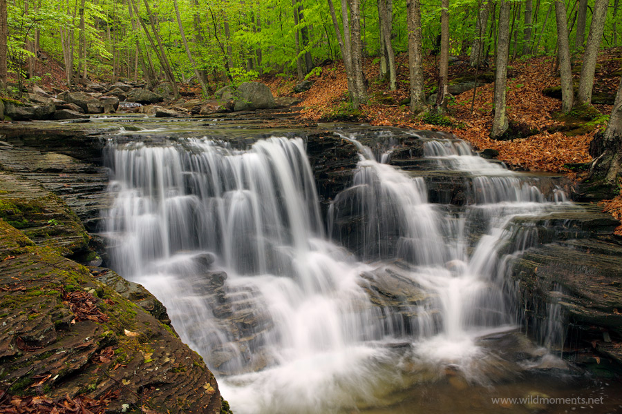 A view from the top of one of Pennsylvanias's most picturesque waterfalls captured near Rock Run.