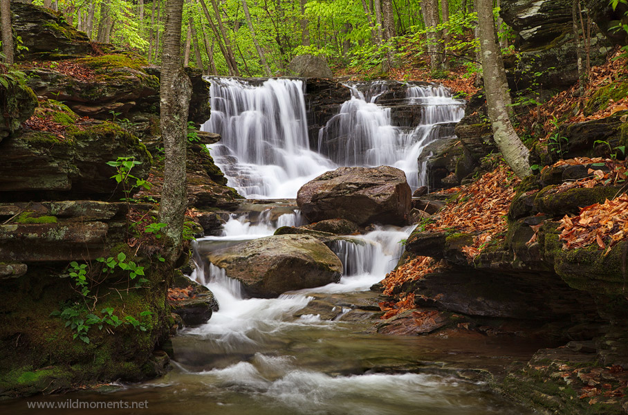 One of the most picturesque waterfalls I have ever been blessed to witness. Places like this do exist and sometimes they are...