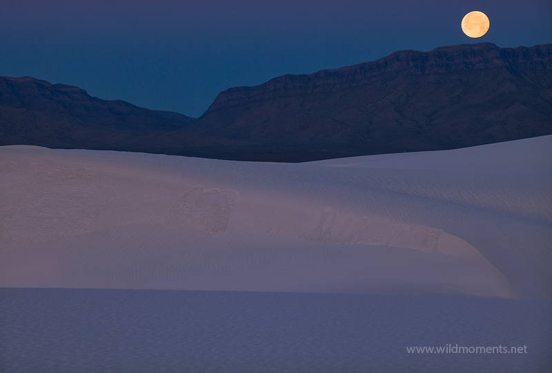 A full moon sets behind the San Andreas Mountains in Southern New Mexico at White Sands National Monument. This is not a composite...