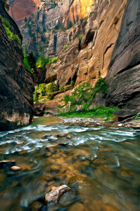 Mysterious walls of color and trees captivate your imagination on a grand scale while hiking in the Zion Narrows.