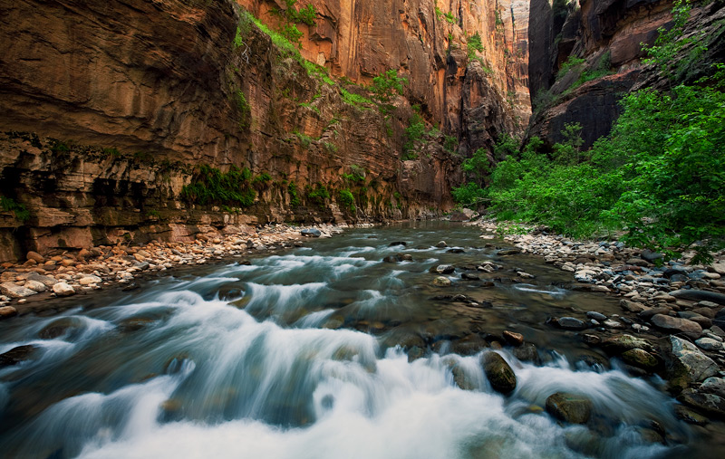 This image shows the intense rushing waters of the Virgin River accompanied by an explosion of color along its banks. I was drawn...