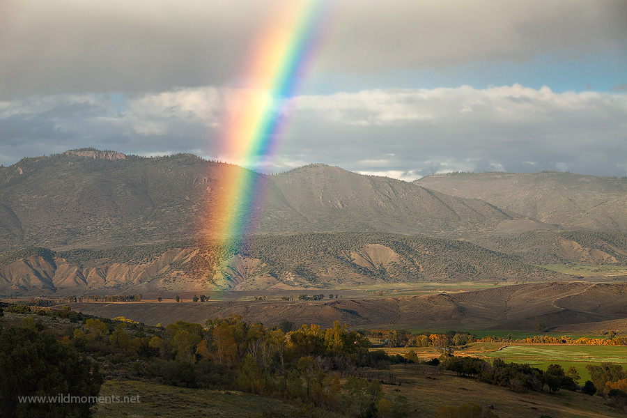 The rainbow in this image lasted longer than any I have ever seen. Lasting on and off for 2 hours it was easy to capture shots...