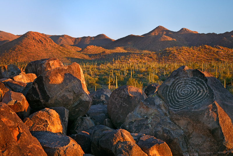 Sunset highlights the sentinel saguaro forest and ancient petroglyphs in Southern Arizona.