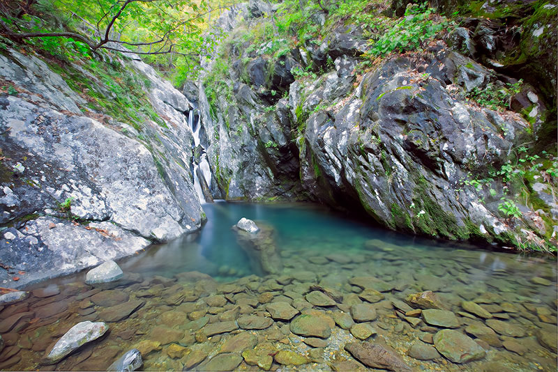 A serene collection of tranquility in White Oak Canyon where water, rocks, and forest rest in early evening light.