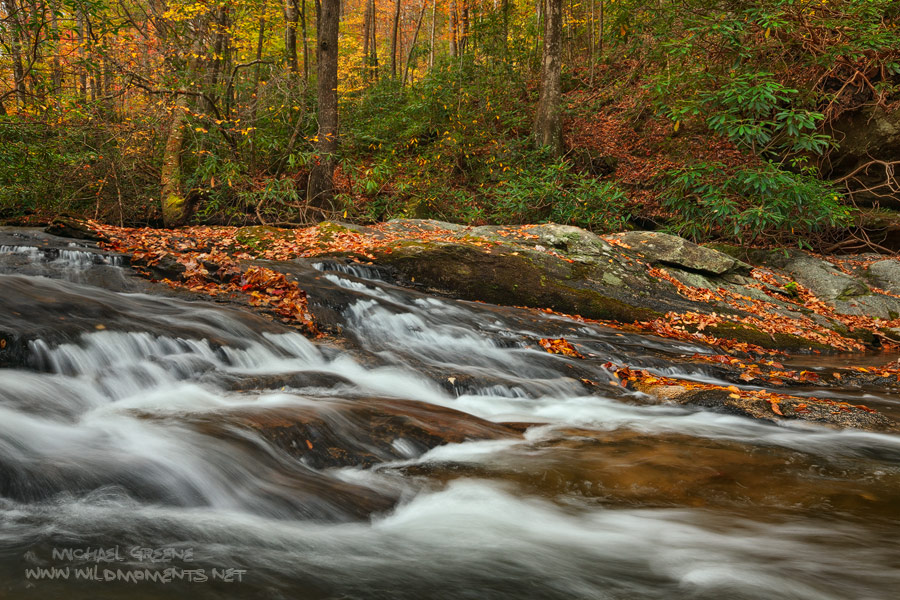 Jones Gap State Park is located in northern Greenville County, near Marietta, SC. The 3,964-acre (1,604 ha) park, which includes...