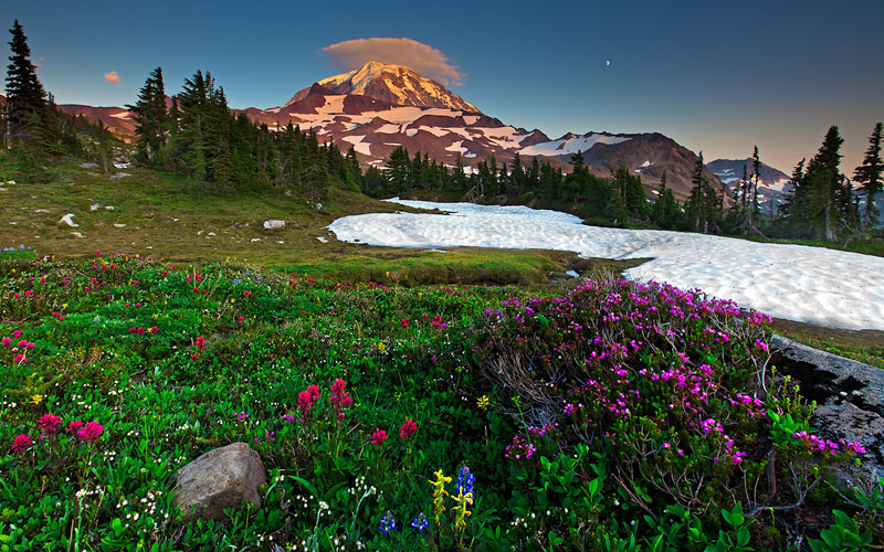 In the summertime, one of the most beautiful places in all of North America is Mount Rainier's Spray Park. A pristine meadow...