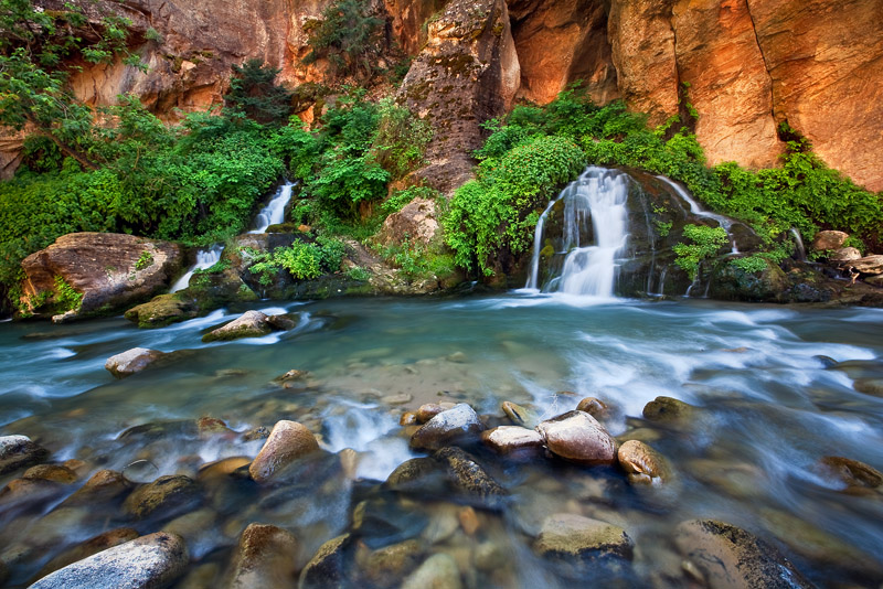 Lush, vibrant colors compliment the red rock lined slot of the Big Springs section of Zion's Virgin River backcountry. This photo...