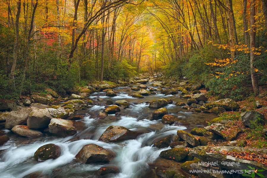 Probably my favorite image from my autumn trip to the Great Smoky Mountains captured near the NC - TN border. The Smoky Mountains...