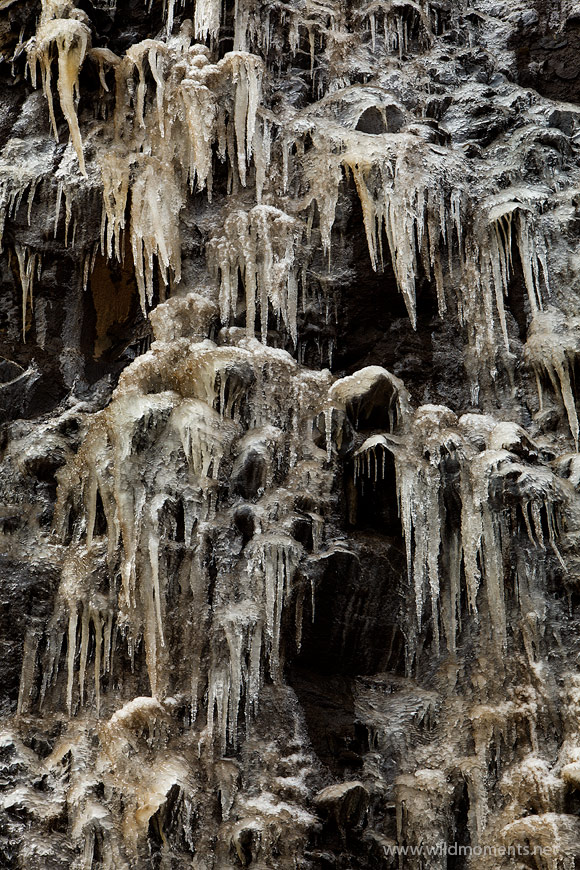 Cryptic looking icicles formations near Wolf Creek Pass in Southwestern Colorado.&nbsp;